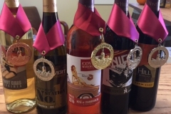 VH-dixie-medals
